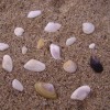 bloggeri_la_plaja