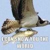 fish fish