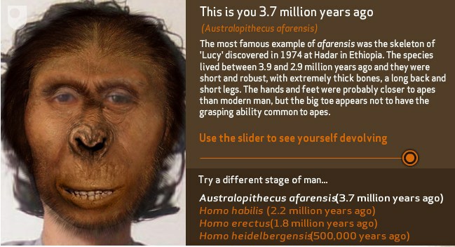 me-the-monkey-1