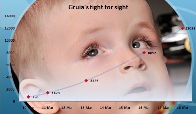 gruia3