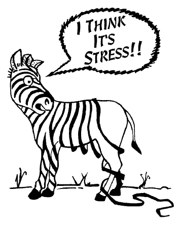 stress-zebrastripes stress-zebrastripes