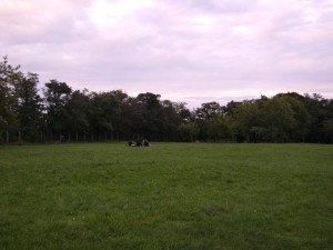 DSC00595 DSC00595