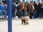 revoluția_ploiești